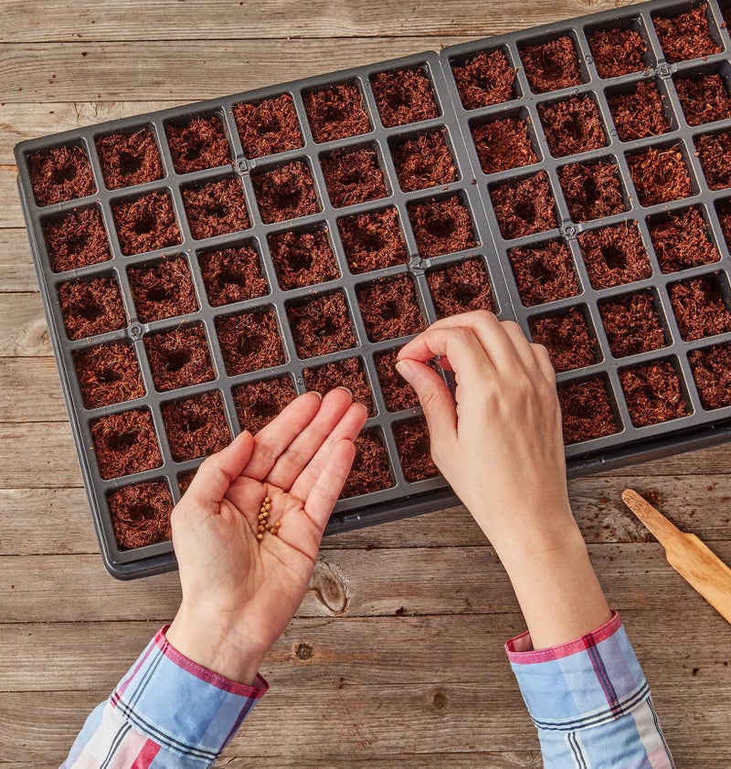 Burpee Self-Watering Seed Starter Tray, 72 Cells - Image 4